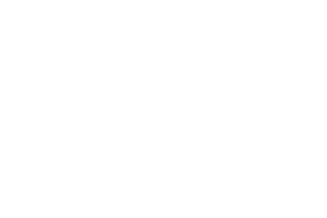 OnNet